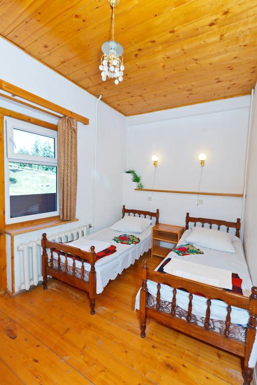 Hotel Apollon Бакуріані Номер фото
