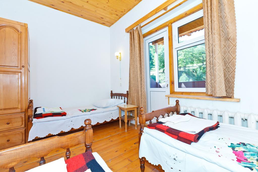 Hotel Apollon Бакуріані Номер фото